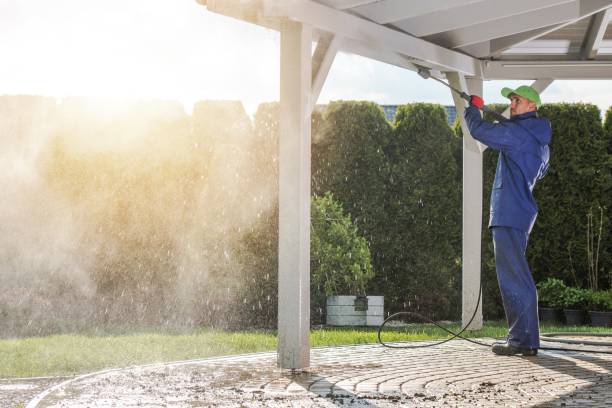 Best Driveway Pressure Washing  in Dawson, MN